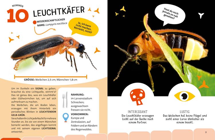 Produktbild: Top Ten die seltsamsten Insekten