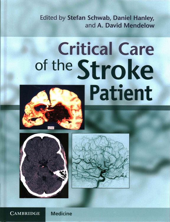Produktbild: Critical Care of the Stroke Patient