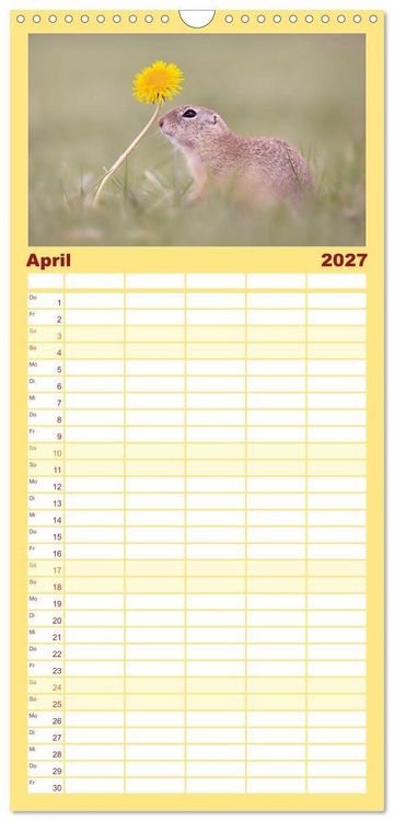 Produktbild: Familienplaner 2027 - Zauberhafte Ziesel mit 5 Spalten (Wandkalender, 21 x 45 cm) CALVENDO