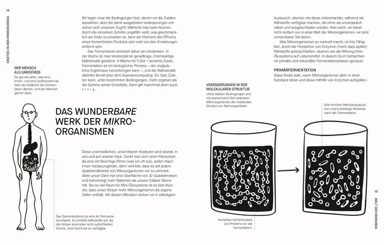 Produktbild: Fermentieren. Rezepte und Techniken f&uuml;r Geschmack, den man nicht kaufen kann