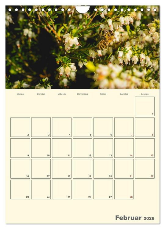 Produktbild: Bienen im Naturgarten (Wandkalender 2026 DIN A4 hoch), CALVENDO Monatskalender