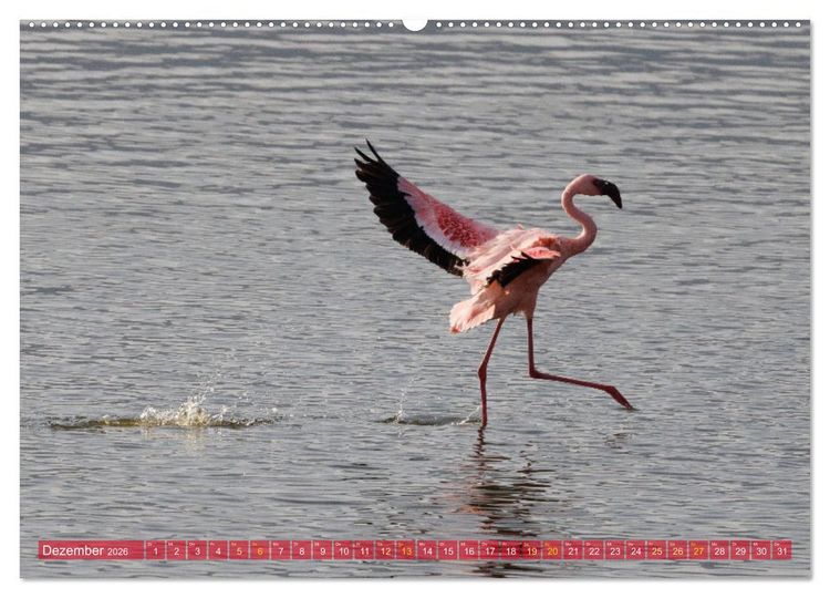 Produktbild: Flamingos am Lake Bogoria - Kenia (hochwertiger Premium Wandkalender 2026 DIN A2 quer), Kunstdruck in Hochglanz
