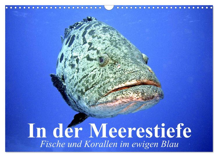 Produktbild: In der Meerestiefe. Fische und Korallen im ewigen Blau (Wandkalender 2026 DIN A3 quer), CALVENDO Monatskalender