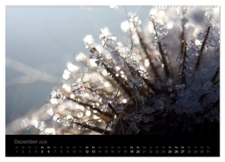 Produktbild: Natur im Detail (Wandkalender 2026 DIN A2 quer), CALVENDO Monatskalender