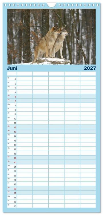 Produktbild: Familienplaner 2027 - Kanadische W&ouml;lfe im Winter mit 5 Spalten (Wandkalender, 21 x 45 cm) CALVENDO