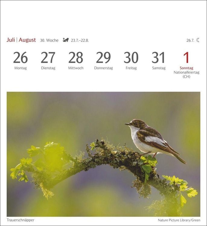 Produktbild: Heimische V&ouml;gel Postkartenkalender 2027 - Wochenkalender mit 53 Postkarten
