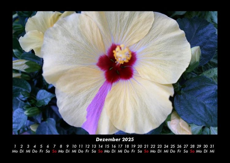 Produktbild: Bilder aus der Natur 2025 Fotokalender DIN A3