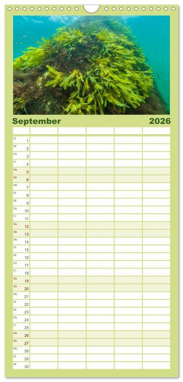 Produktbild: Familienplaner 2026 - Unter Wasser rund um Fehmarn mit 5 Spalten (Wandkalender, 21 x 45 cm) CALVENDO