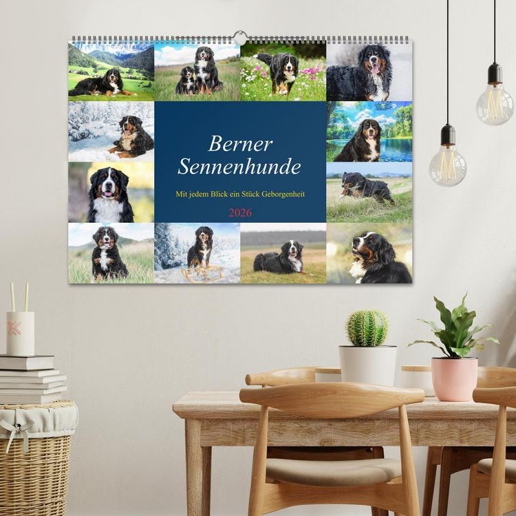 Produktbild: Berner Sennenhunde - Mit jedem Blick ein St&uuml;ck Geborgenheit (Wandkalender 2026 DIN A2 quer), CALVENDO Monatskalender