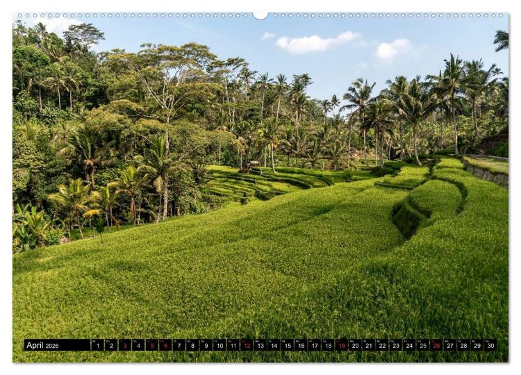 Produktbild: Ubud - Bali (hochwertiger Premium Wandkalender 2026 DIN A2 quer), Kunstdruck in Hochglanz