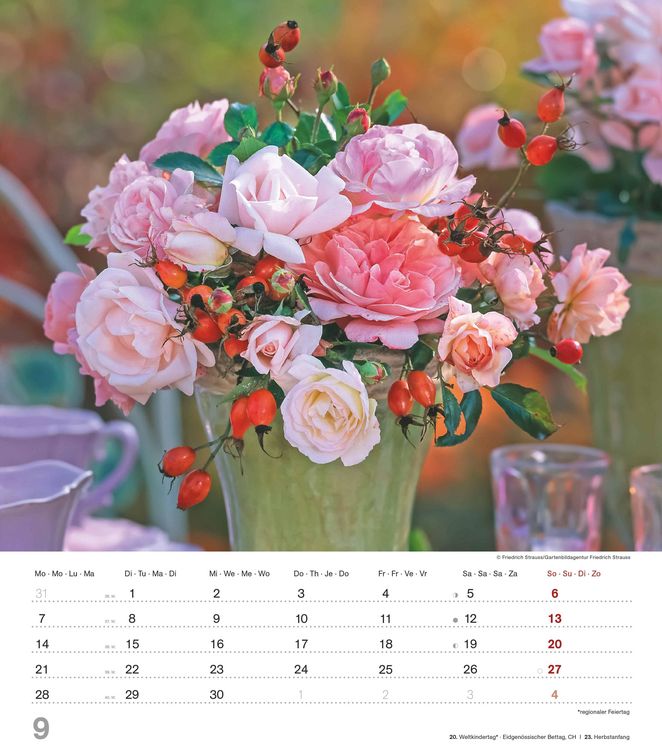 Produktbild: Der Duft der Rosen 2026 - Bildkalender 30x34 cm - Kalender mit wohl riechendem Duftlack - Duftkalender - Wandkalender - Blumenkalender