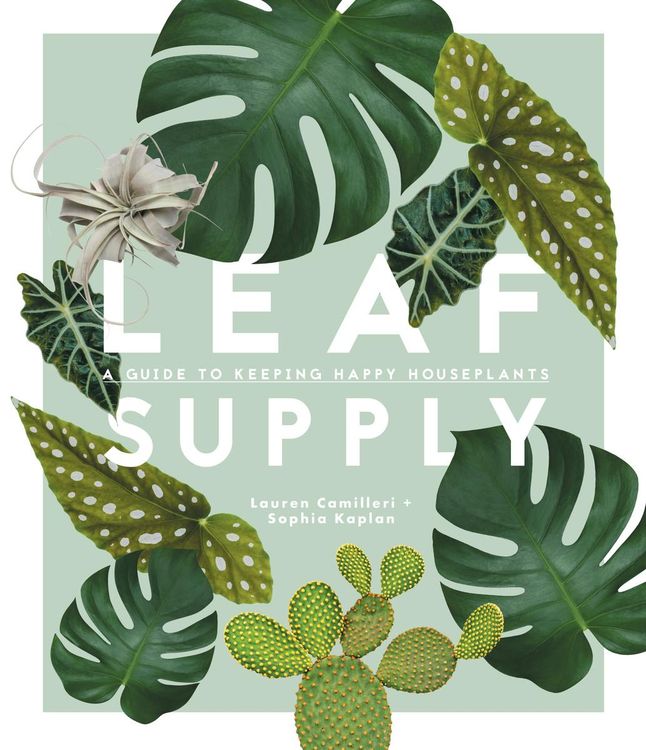 Produktbild: Leaf Supply