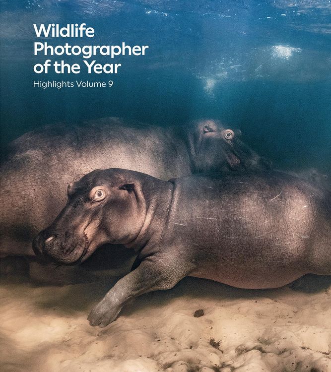 Produktbild: Wildlife Photographer of the Year: Highlights Volume 9