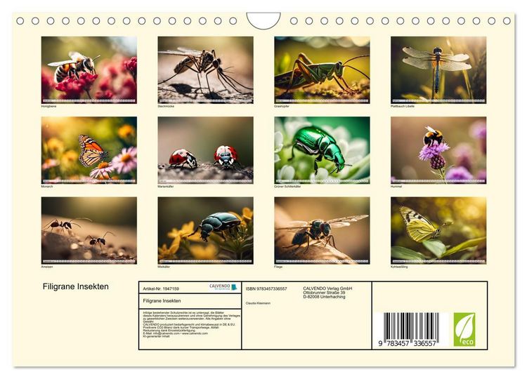 Produktbild: Filigrane Insekten (Wandkalender 2026 DIN A4 quer), CALVENDO Monatskalender