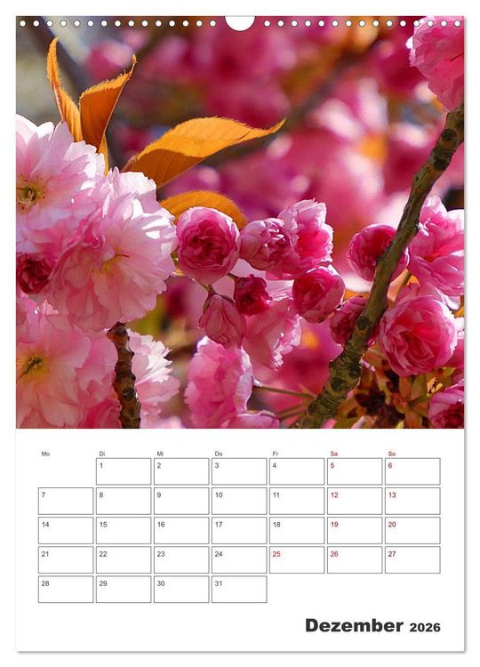 Produktbild: BL&Uuml;TENZAUBER (Wandkalender 2026 DIN A3 hoch), CALVENDO Monatskalender