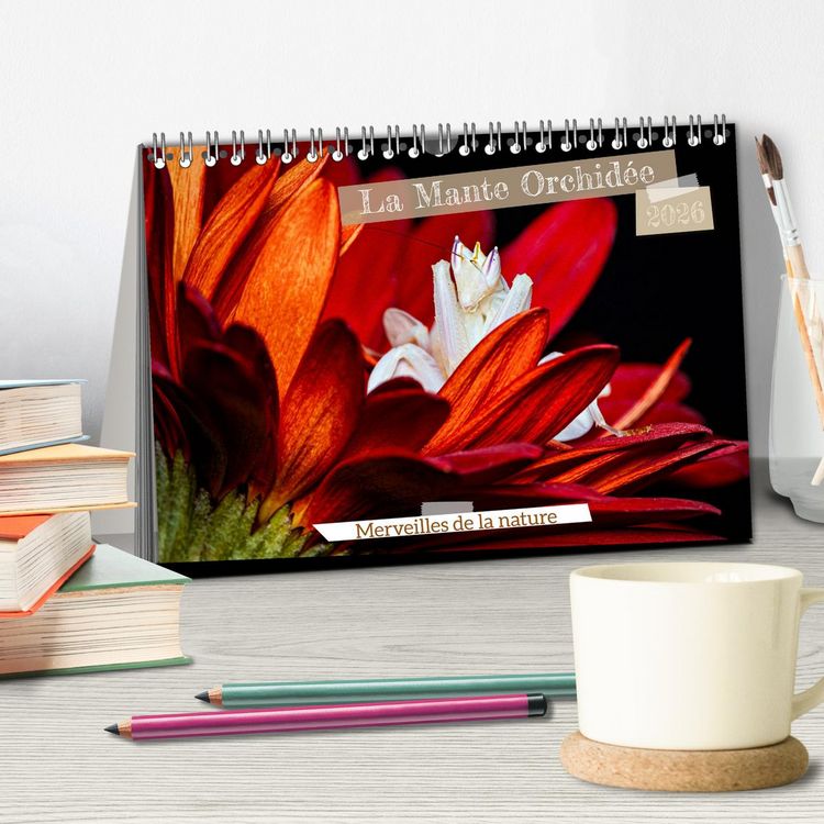 Produktbild: La Mante Orchid&eacute;e (Calendrier de bureau 2026 DIN A5 vertical), CALVENDO calendrier mensuel