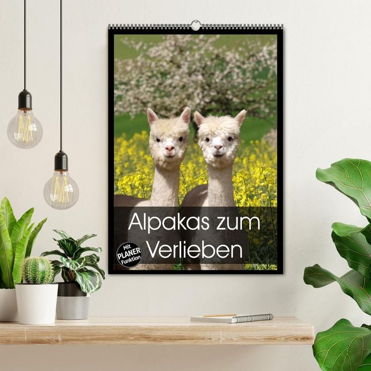 Produktbild: Alpakas zum Verlieben (Wandkalender 2026 DIN A2 hoch), CALVENDO Monatskalender