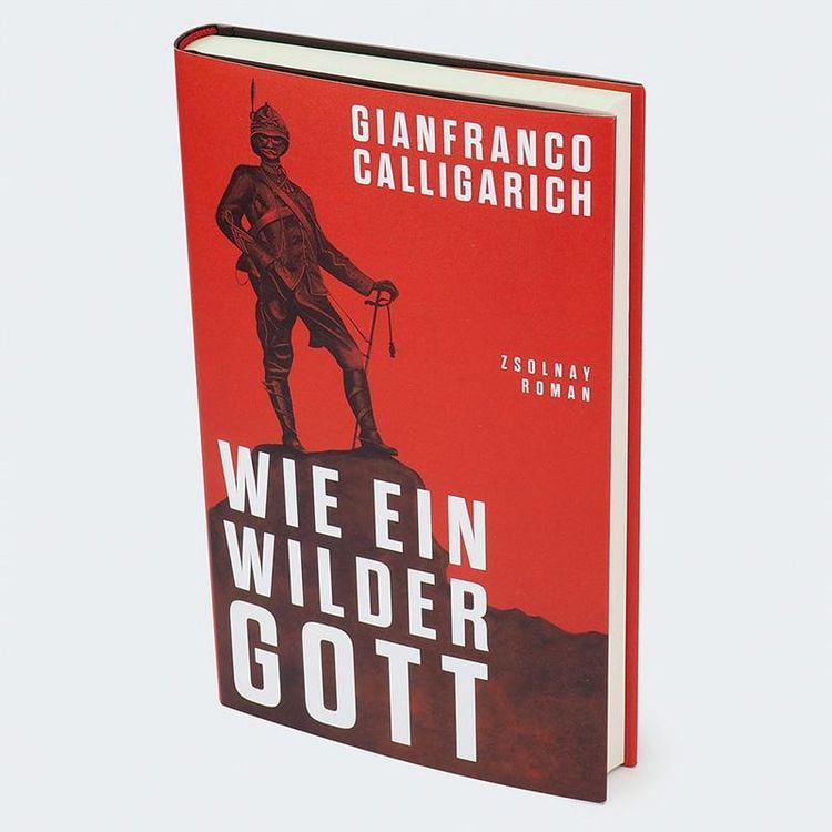 Produktbild: Wie ein wilder Gott