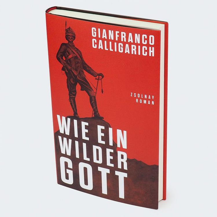 Produktbild: Wie ein wilder Gott