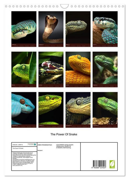 Produktbild: The Power Of Snake (Wandkalender 2027 DIN A3 hoch), CALVENDO Monatskalender