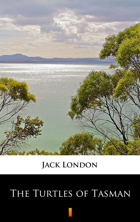 Produktbild: The Turtles of Tasman