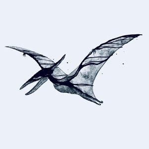 Produktbild: Pterodactyl/Plesiosaur