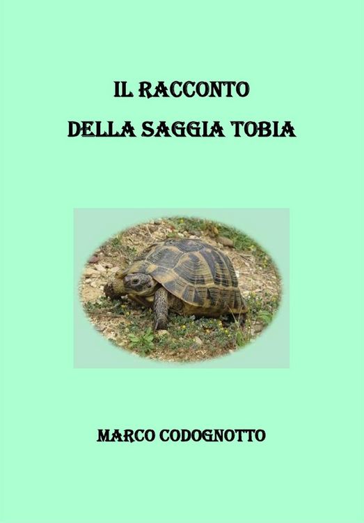 Produktbild: Il racconto della saggia Tobia