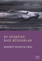 Produktbild: Ev D&uuml;sk&uuml;n&uuml; - Bazi R&uuml;zgarlar