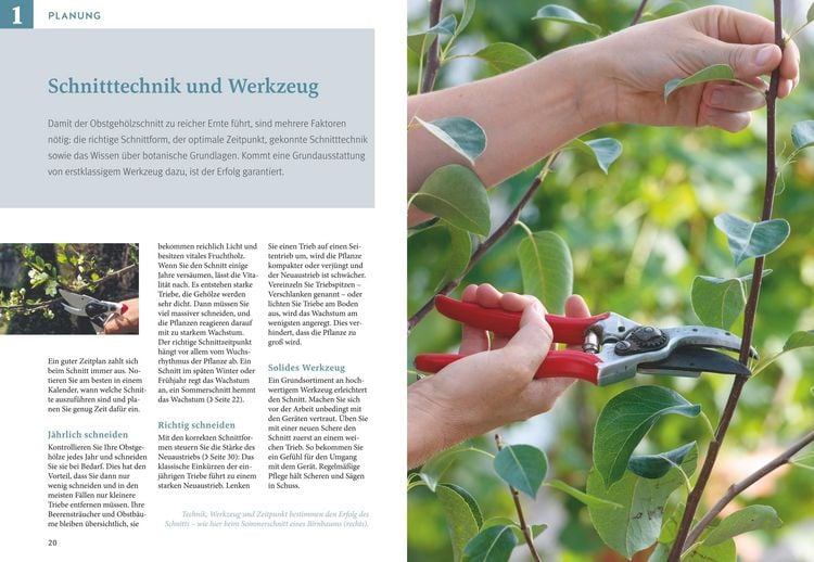 Produktbild: Obstgeh&ouml;lze schneiden
