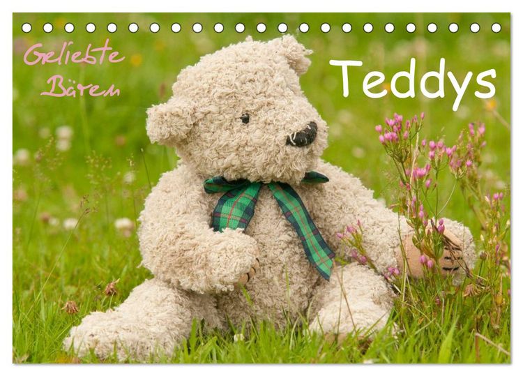 Produktbild: Geliebte B&auml;ren - Teddys (Tischkalender 2026 DIN A5 quer), CALVENDO Monatskalender
