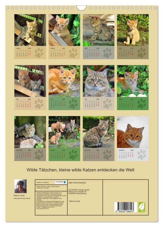 Produktbild: Wilde T&auml;tzchen, kleine wilde Katzen entdecken die Welt (Wandkalender 2026 DIN A3 hoch), CALVENDO Monatskalender