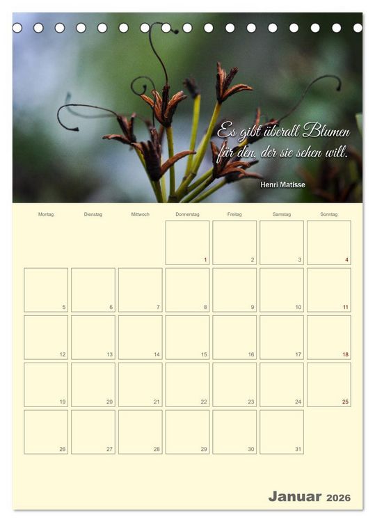 Produktbild: Gartenliebe (Tischkalender 2026 DIN A5 hoch), CALVENDO Monatskalender