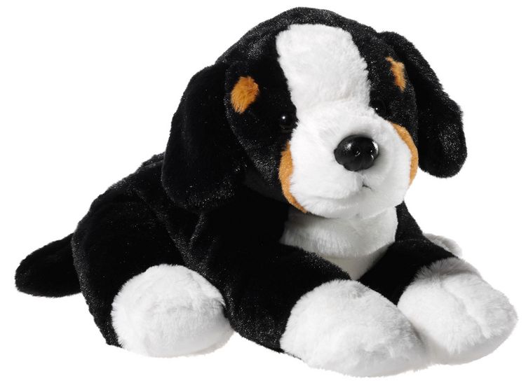 Produktbild: HUND Berner Sennehund