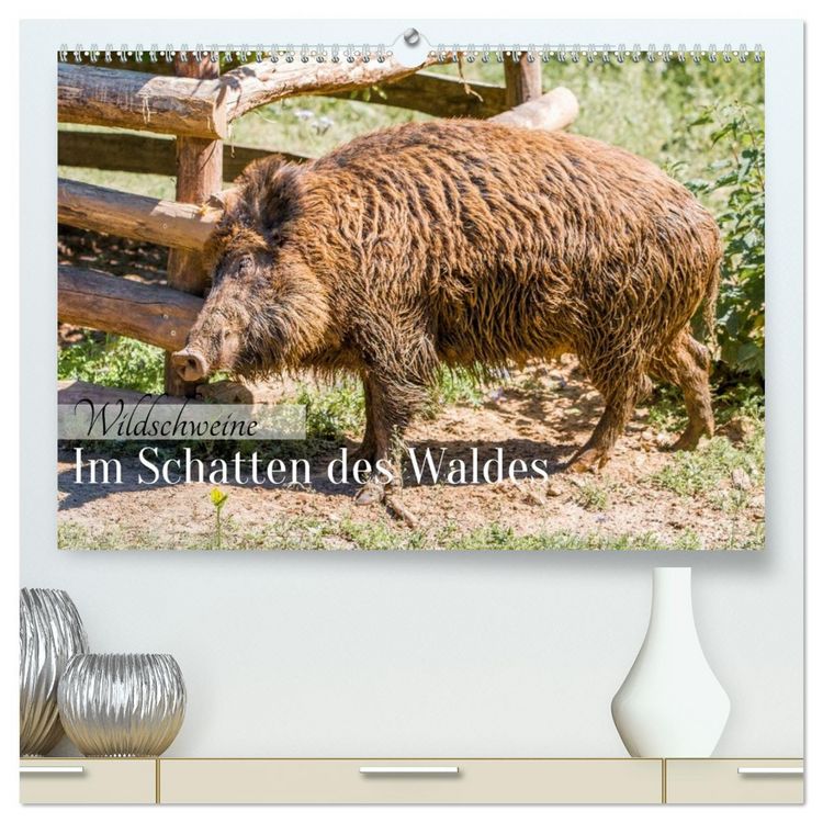 Produktbild: Wildschweine - Im Schatten des Waldes (hochwertiger Premium Wandkalender 2026 DIN A2 quer), Kunstdruck in Hochglanz