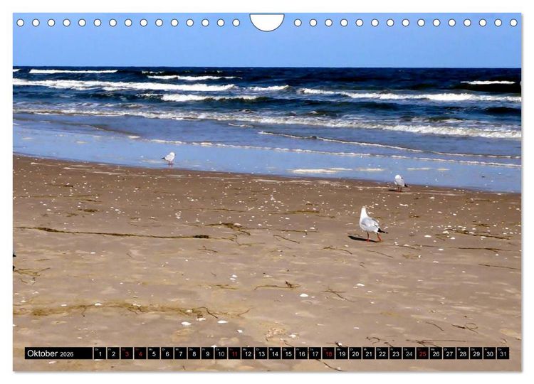 Produktbild: USEDOM - Seeb&auml;der und Naturparadies (Wandkalender 2026 DIN A4 quer), CALVENDO Monatskalender