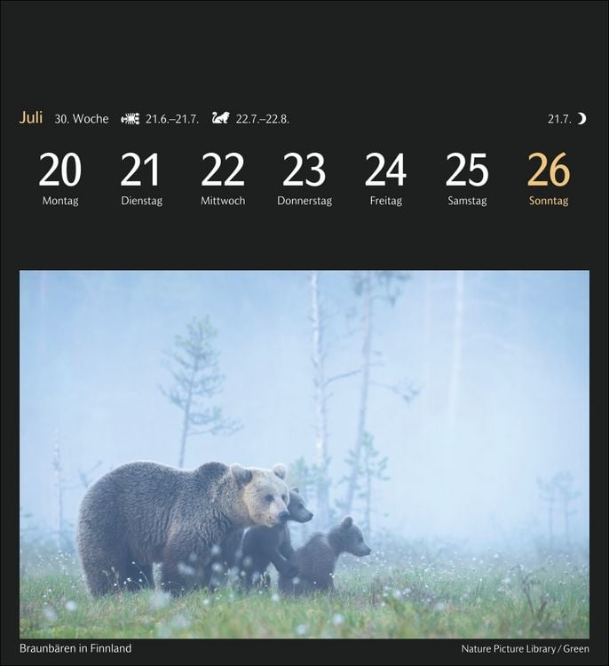 Produktbild: Magic Nature Postkartenkalender Kalender 2026 - Kalender mit 53 Postkarten