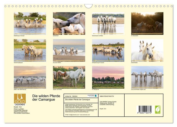 Produktbild: Die wilden Pferde der Camargue (Wandkalender 2026 DIN A3 quer), CALVENDO Monatskalender