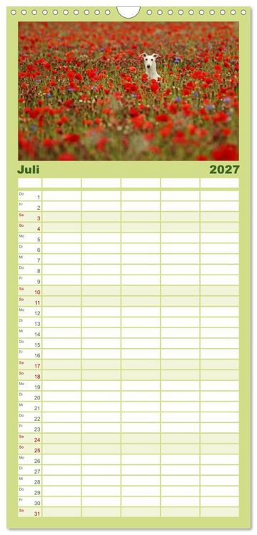 Produktbild: Familienplaner 2027 - Der Windhundekalender mit 5 Spalten (Wandkalender, 21 x 45 cm) CALVENDO