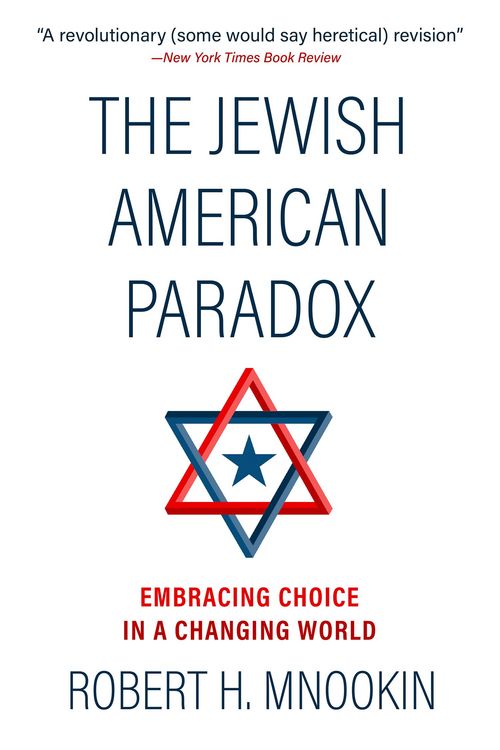 Produktbild: The The Jewish American Paradox
