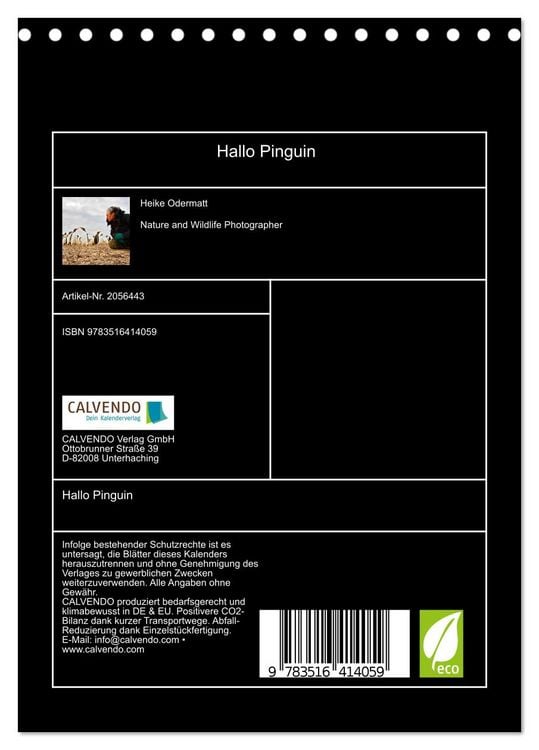 Produktbild: Hallo Pinguin (Tischkalender 2026 DIN A5 hoch), CALVENDO Monatskalender