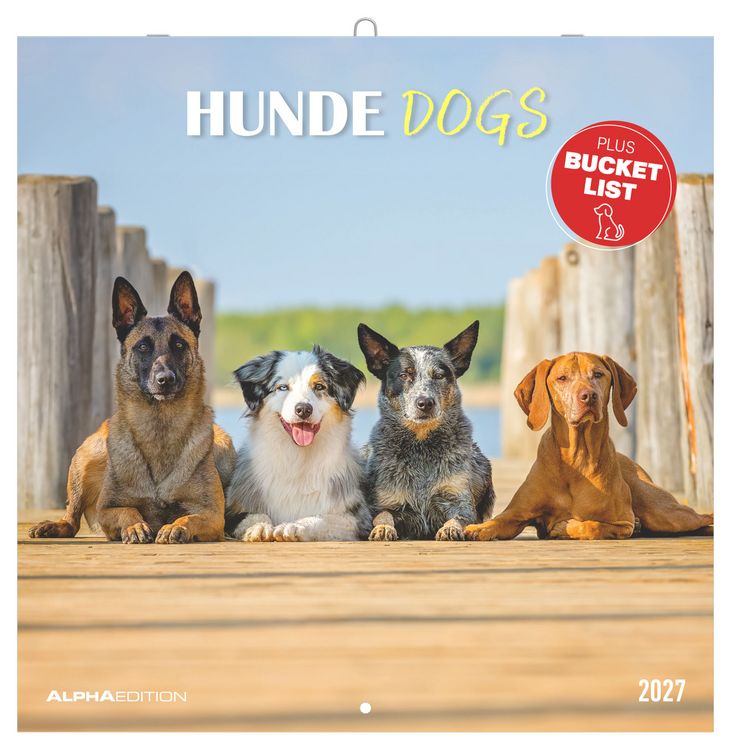Produktbild: Hunde 2027