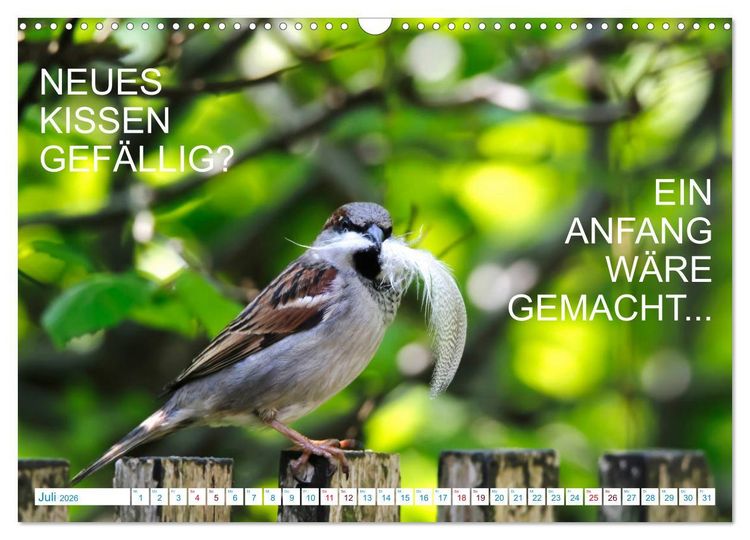 Produktbild: Humorvolles aus der Tierwelt (Wandkalender 2026 DIN A3 quer), CALVENDO Monatskalender