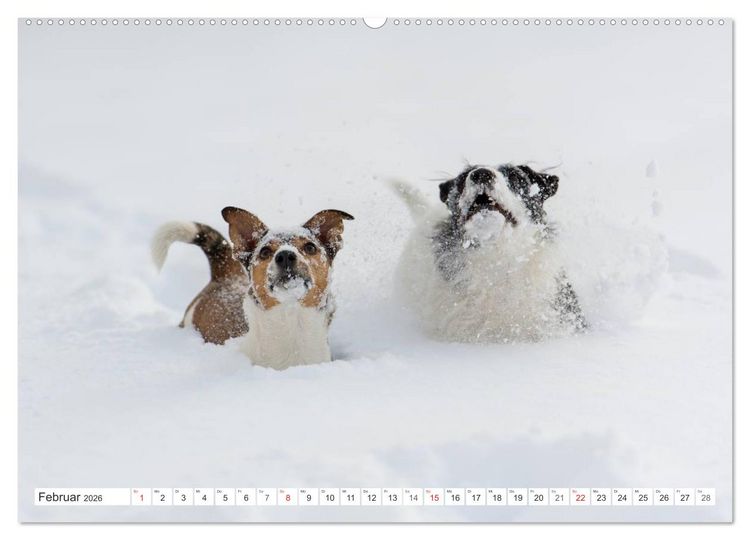 Produktbild: Emotionale Momente: Wild und Jagd. (hochwertiger Premium Wandkalender 2026 DIN A2 quer), Kunstdruck in Hochglanz