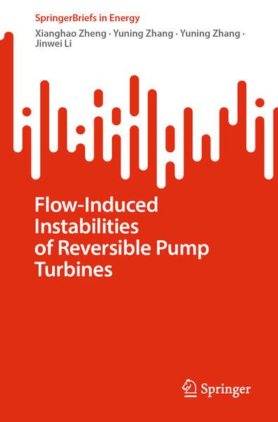 Produktbild: Flow-Induced Instabilities of Reversible Pump Turbines