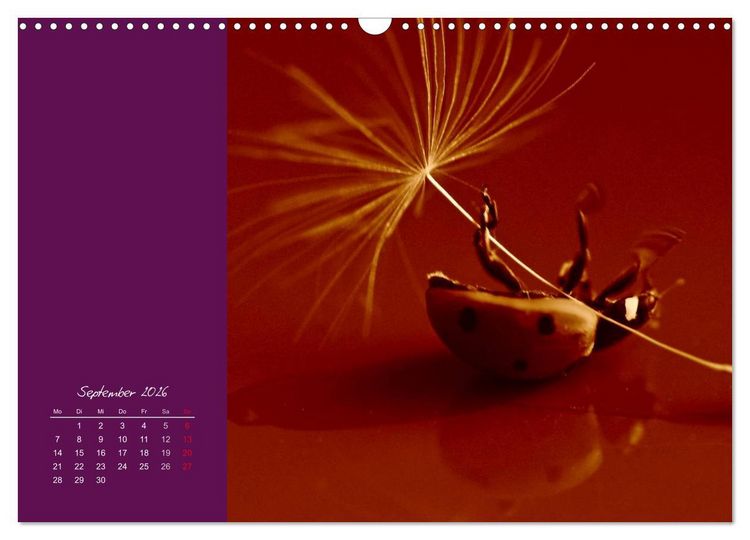 Produktbild: Momente des Gl&uuml;cks (Wandkalender 2026 DIN A3 quer), CALVENDO Monatskalender