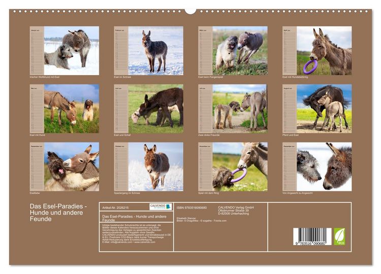 Produktbild: Das Esel-Paradies - Hunde und andere Feunde (hochwertiger Premium Wandkalender 2026 DIN A2 quer), Kunstdruck in Hochglanz