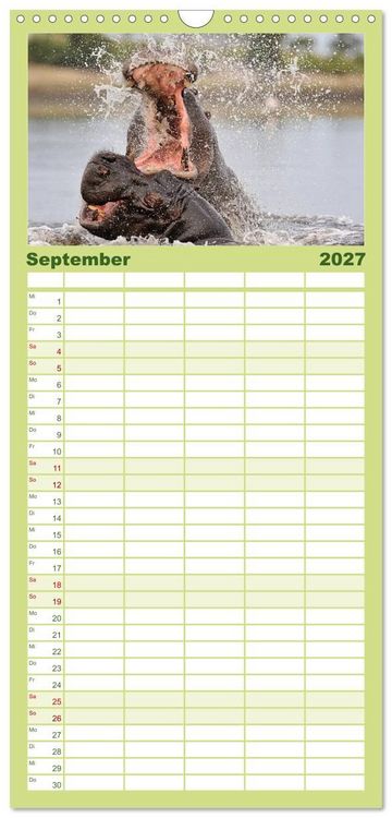 Produktbild: Familienplaner 2027 - Flusspferde Magie des Augenblicks - Hippos in Afrika mit 5 Spalten (Wandkalender, 21 x 45 cm) CALVENDO