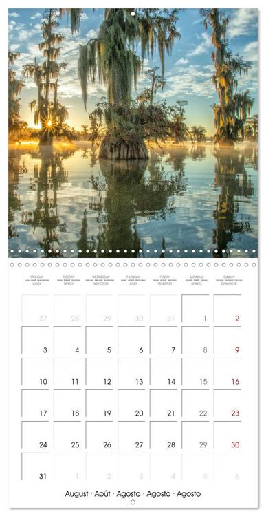 Produktbild: Mississippi Delta, Magic Swamps (Wall Calendar 2026 12 &times; 12 Inch) CALVENDO 12 Month Wall Calendar