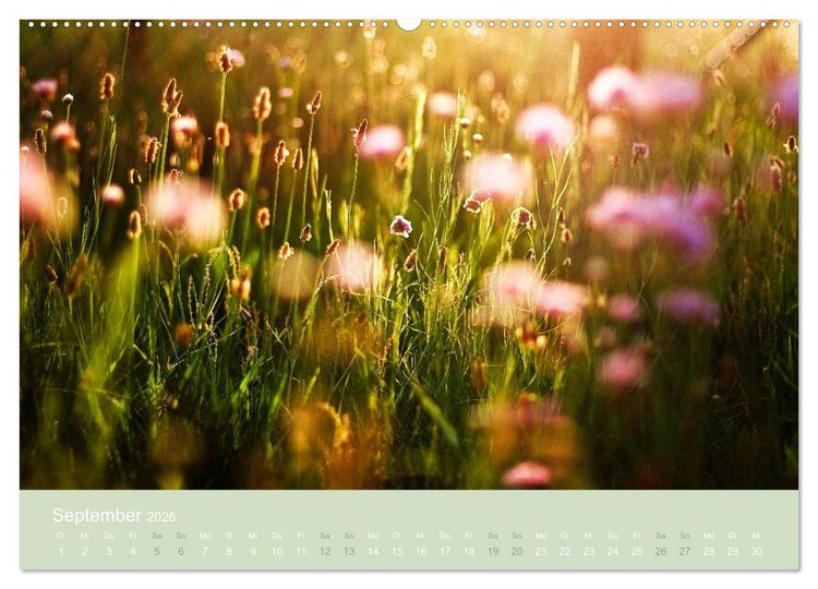 Produktbild: Zeitenwandel - Ein Jahr in der Natur (hochwertiger Premium Wandkalender 2026 DIN A2 quer), Kunstdruck in Hochglanz