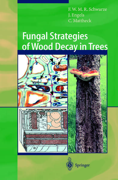 Produktbild: Fungal Strategies of Wood Decay in Trees